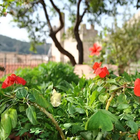 בית נופש Le Chateaux A *